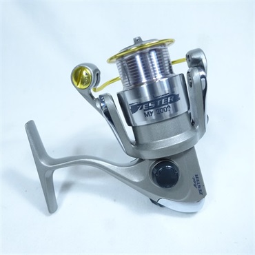 ゼスターＭＸ２０００